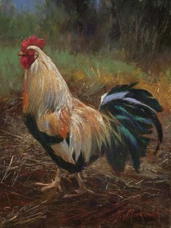 White And Green Rooster Canvas Art - N Mirkovich (22 x 28)