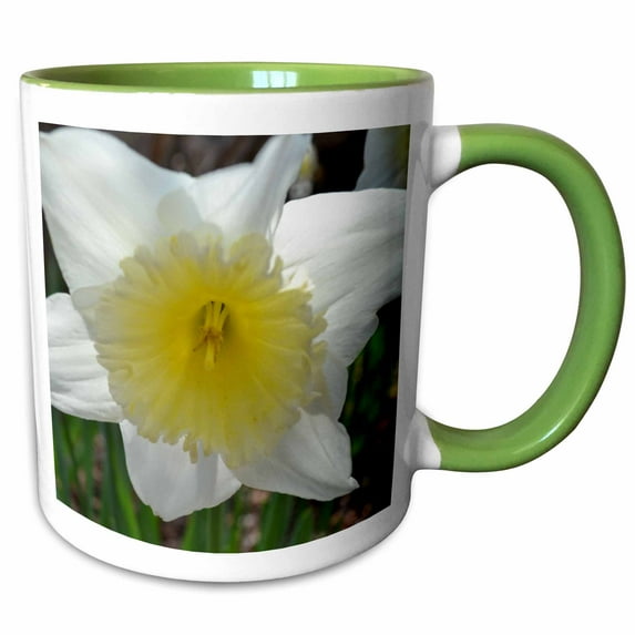 3drose, White and Yellow Daffodil, 11oz Two-tone Green Mug