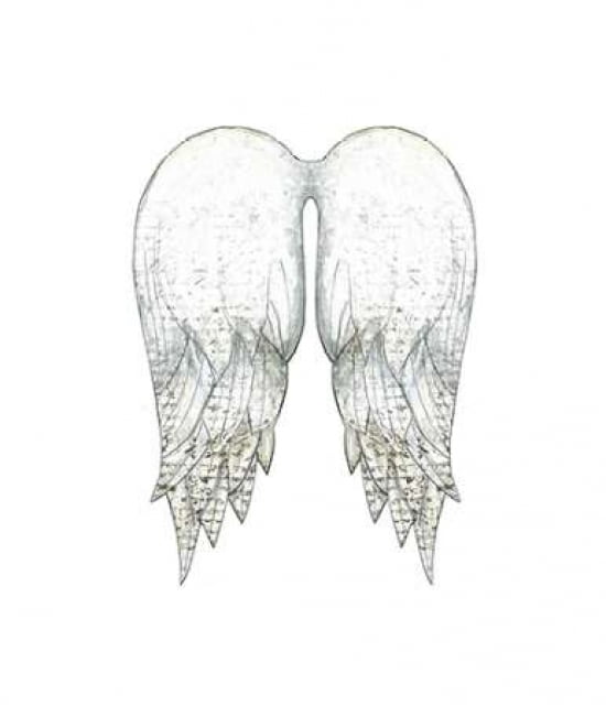 White Angel Wings Canvas Art - Sarah Ogren (24 x 24)