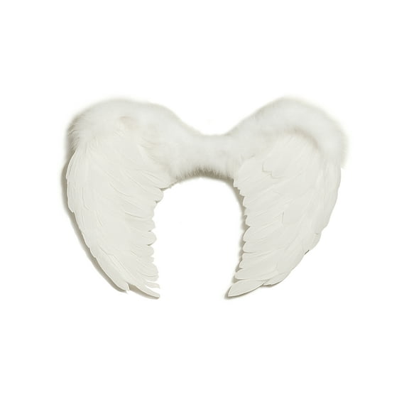 White Angel Wings Costume Accessory