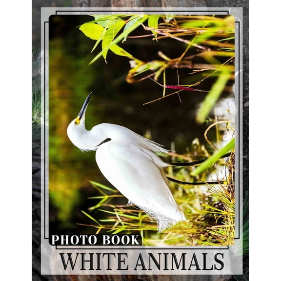 White Animals Photo Book: Collection Of 40 Stunning Images Featuring Incredible Creatures In White Fur And Feathers, (Paperback)