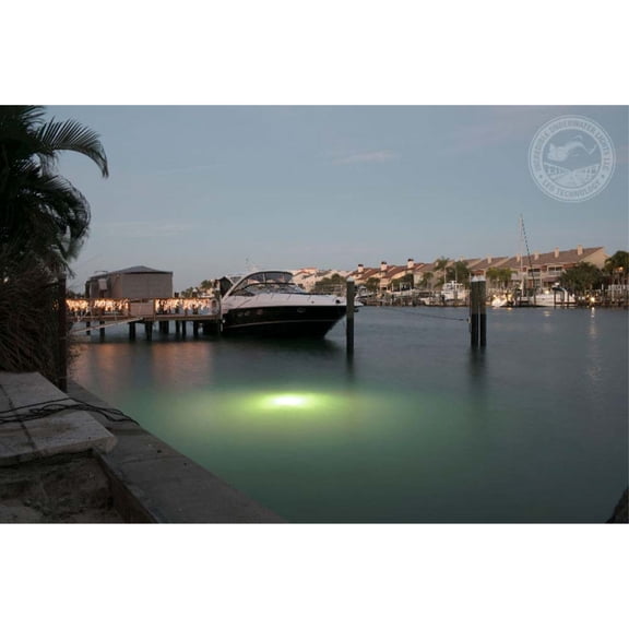 White Apollo Underwater LED Lighting System (40 foot power cord)