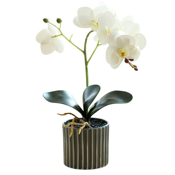 White Artificial Orchids Flowers In Pot Faux Bendable Orchids Flowers Potted Real Touch Phalaenopsis Orchids Plants Table for Home Living Bathroom Office Decor (White)