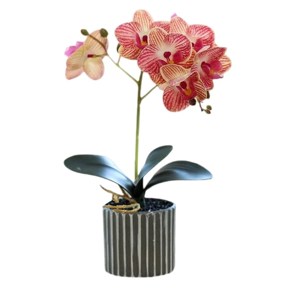 White Artificial Orchids Flowers In Pot Faux Bendable Orchids Flowers Potted Real Touch Phalaenopsis Orchids Plants Table for Home Living Bathroom Office Decor (Pink)