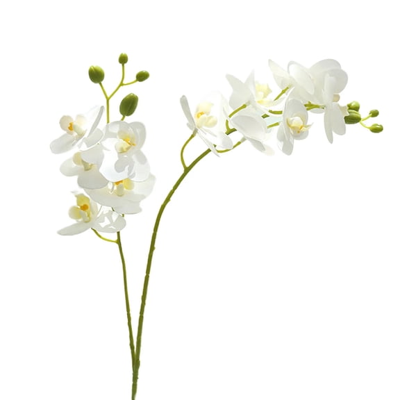 White Artificial Phalaenopsis Orchid, Cosmug Fake Orchid Stem, Artificial Phalaenopsis, Silk Orchid Flower, for Home Decor, Kitchen Decoration, Wedding Flower Arrangement, Table Centerpiece
