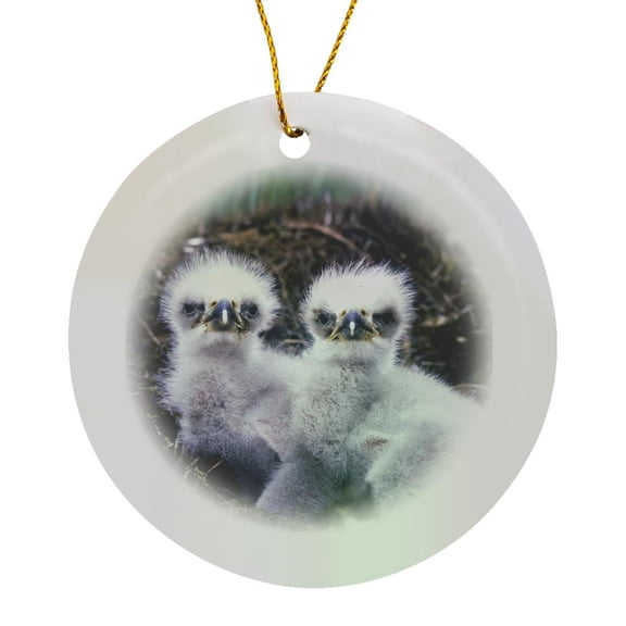 3drose, White Baby Eagles., Circle Porcelain Ornament