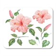 thumbnail image 1 of White Beautiful Watercolor Tropical Flower Pink Hibiscus with Leaves and Bud of Plant Objects Black Bloom Mousepad Mouse Pad Mouse Mat 9x10 inch, 1 of 3
