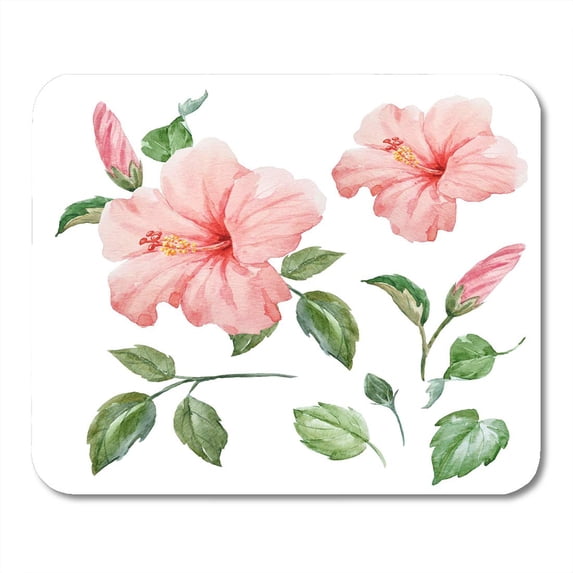 White Beautiful Watercolor Tropical Flower Pink Hibiscus with Leaves and Bud of Plant Objects Black Bloom Mousepad Mouse Pad Mouse Mat 9x10 inch