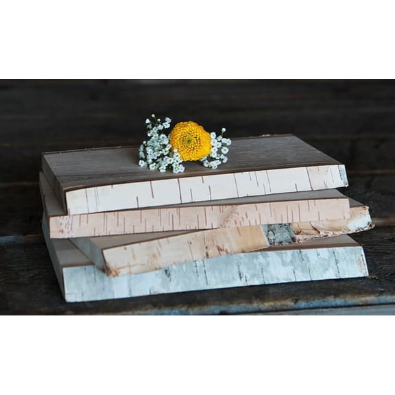 White Birch Plank, Large (set of 6)