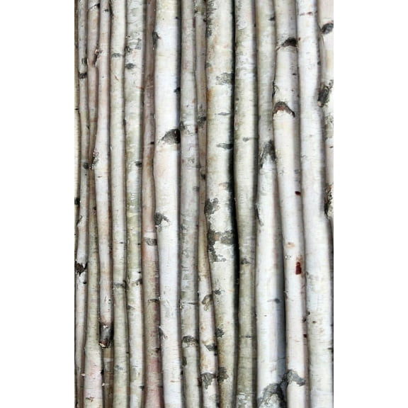 White Birch Pole 8ft x 1-1.5in D
