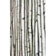 thumbnail image 1 of White Birch Pole 8ft x 1.5-2.5", 1 of 6