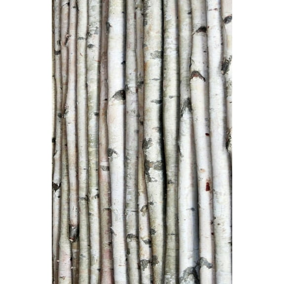 White Birch Pole 8ft x 3-4" D