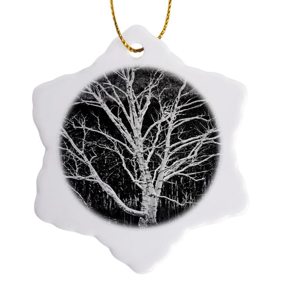 3drose, White Birch Tree, 3 inch Snowflake Porcelain Ornament