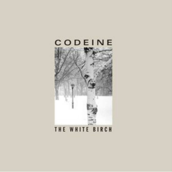 White Birch
