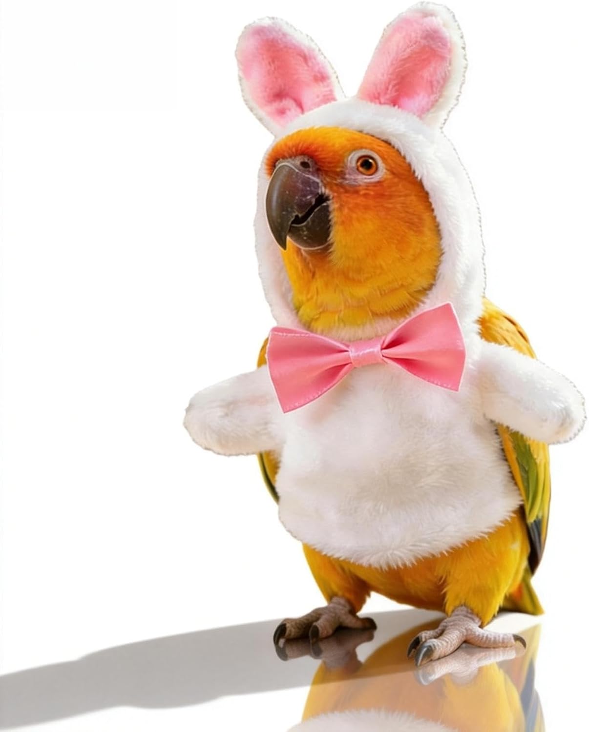 White Bird Bunny Design Windproof Cosplay Suit - Adjustable Parrot ...