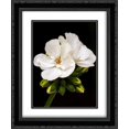 thumbnail image 1 of White Blooms 2x Matted 20x24 Black Ornate Framed Art Print by Peck, Gail, 1 of 2