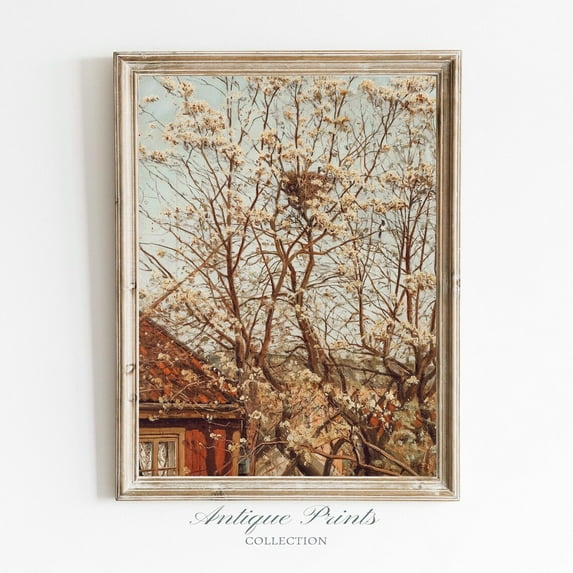 White Blossom Tree Vintage Print, French Country Antique Wall Art, Cottage, Farmhouse Wall Decor, Poster, Unframed Poster Size 8x12