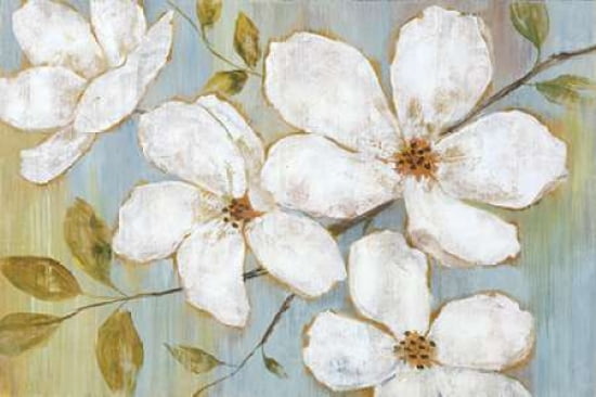 White Blossoms Canvas Art - Nan (12 x 18)