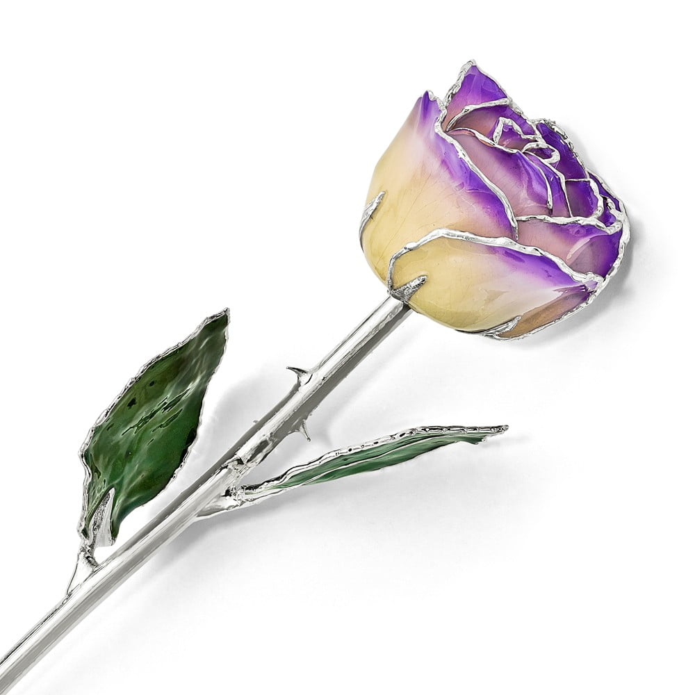 Lacquer Dipped Silver Trim White/Blue Opal Rose Lacquer Dipped Silver Trim White/Blue Opal Rose
