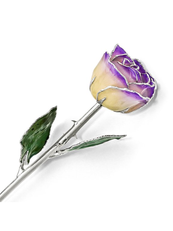 White/Blue Opal Lacquer Dipped Silver Trimmed Real Rose QGM16751