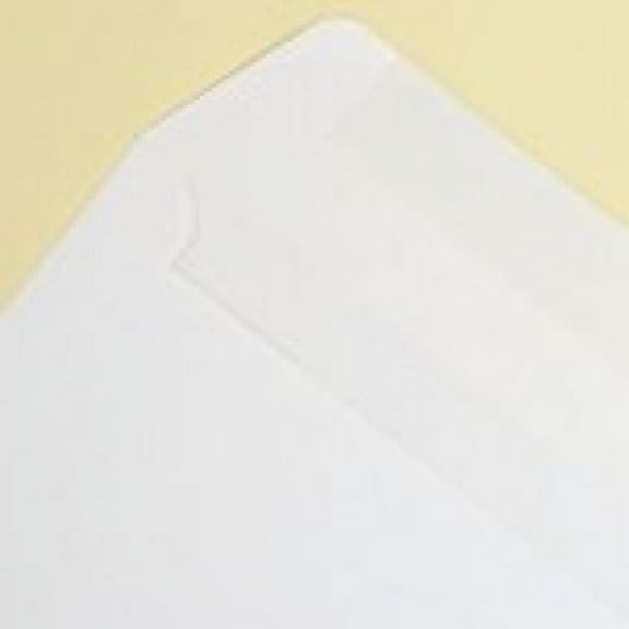 White Booklet 6x9 28lb Envelope 500/box
