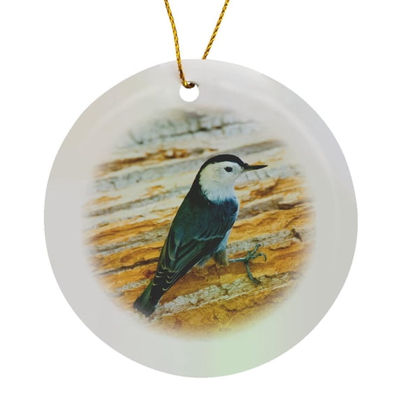 3drose, White-breasted Nuthatch, Perched on Bark of Willow Tree., Circle Porcelain Ornament