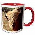 thumbnail image 1 of 3drose, White Buffalo Wildlife, Santa Fe, New Mexico - Us32 Jmr0089 - Julien Mcroberts, 11oz Two-tone Red Mug, 1 of 6