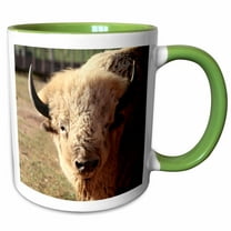 3drose, White Buffalo Wildlife, Santa Fe, New Mexico - Us32 Jmr0089 - Julien Mcroberts, 15oz Two-tone Green Mug