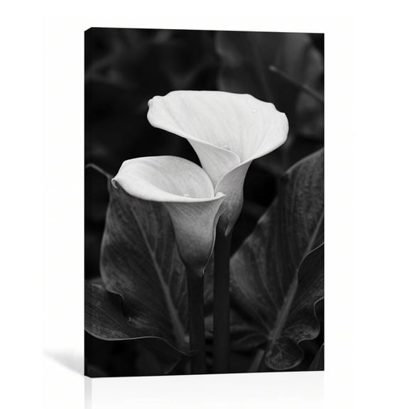 White Calla Lilies Botanical Wall Art Black White Canvas Print Gallery Wrapped Canvas Bathroom Decor 16"L x 24"W
