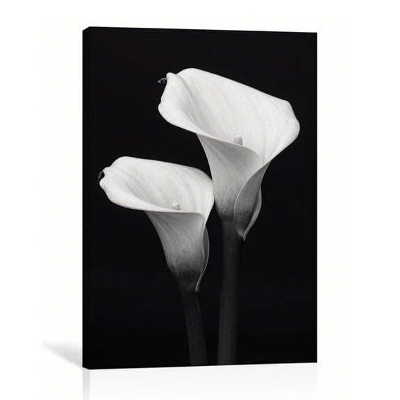 White Calla Lily Duo Black White Wall Art Floral Canvas Print Monochrome Gallery Wrapped Canvas Bedroom Decor 8"L x 12"W