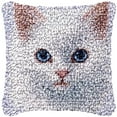 thumbnail image 1 of White Cat Latch Hook kits Pillow Printed Canvas Cushion Crochet Yarn Needlework Hook Latch Kit DIY Embroidery Pillowcase Rug Cover Home Sofa Christmas Decor 43x43cm(1), 1 of 7