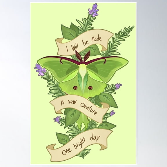 White Cedar Poster Wall Art, Modern Wall Decor For Living Room Bedroom, 16x24 UNFRAMED