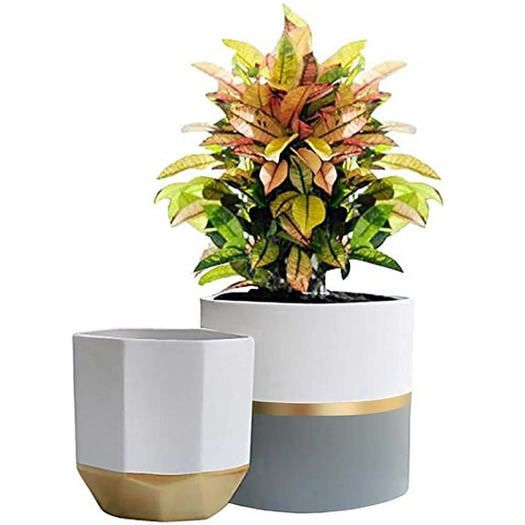 White Ceramic Flower Pot Garden Planters 6.7 Inch Pack 2 Indoor Plant Containers with Gold and Grey Detailing