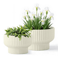thumbnail image 1 of White Ceramic Ribbed Planters (2 Count), 1 of 5