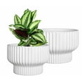 thumbnail image 1 of White Ceramic Ribbed Planters (2 Count), 1 of 7