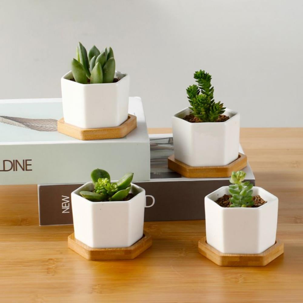 White Ceramic Succulent Planter Pot with Bamboo Saucer, Window Plant ...