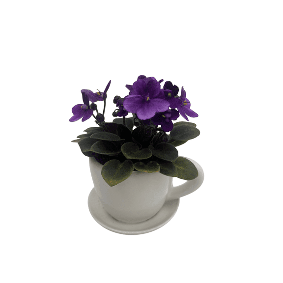 White Ceramic Teacup with Surprise Miniature African Violet - 2.5" Pot