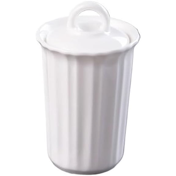 White Ceramic Toothpick Holder With Airtight Lid, Decorative Dispenser for Kitchen, Dining Table & Home Organization