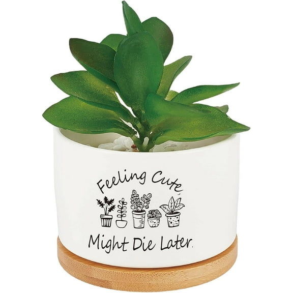 White Ceramics Planters Funny Succulent Plant Pot Cactus Flower Grow Pots Drainage Feeling Cute Might Die Later (No Plants) for Indoor Outdoor Plants Windowsill Desk Decor Unique Planter Gift