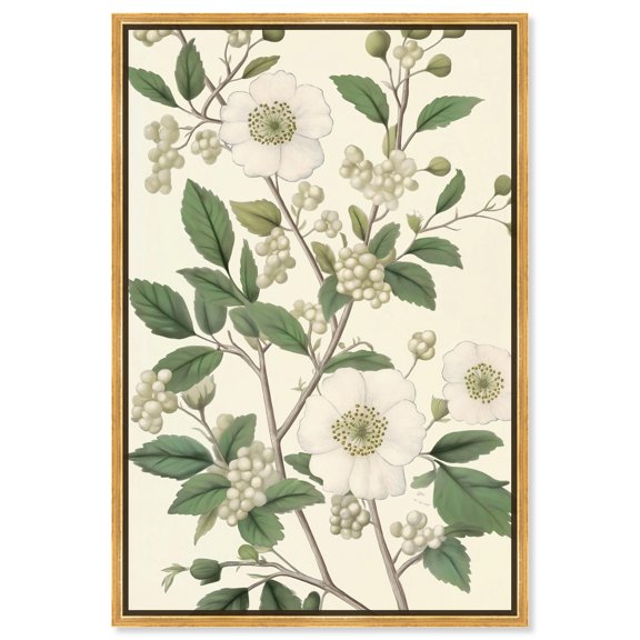 White Cherokee I Canvas Botanical Wall Art by Art Remedy, Gold Frame, 36 x 54