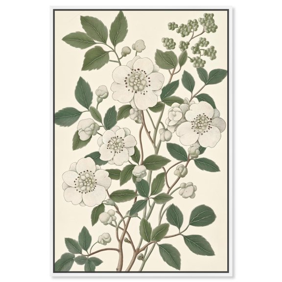 White Cherokee III Canvas Botanical Wall Art by Art Remedy, White Frame, 10 x 15