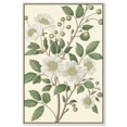 thumbnail image 1 of White Cherokee IV Canvas Botanical Wall Art by Art Remedy, Silver Frame, 20 x 30, 1 of 7