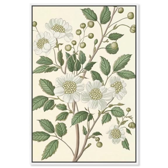 White Cherokee IV Canvas Botanical Wall Art by Art Remedy, White Frame, 16 x 24