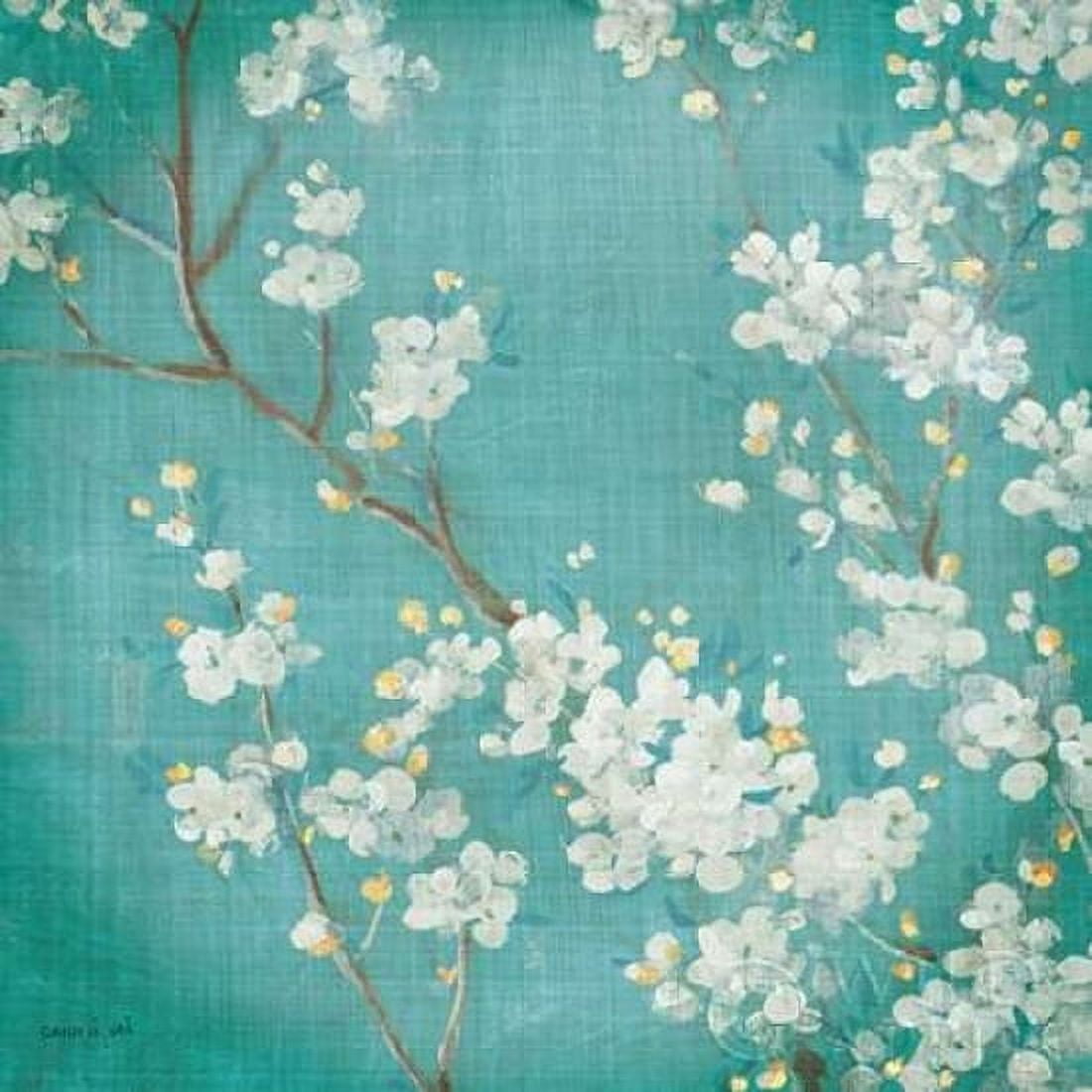 White Cherry Blossoms II Canvas Art - Danhui Nai (24 x 24)