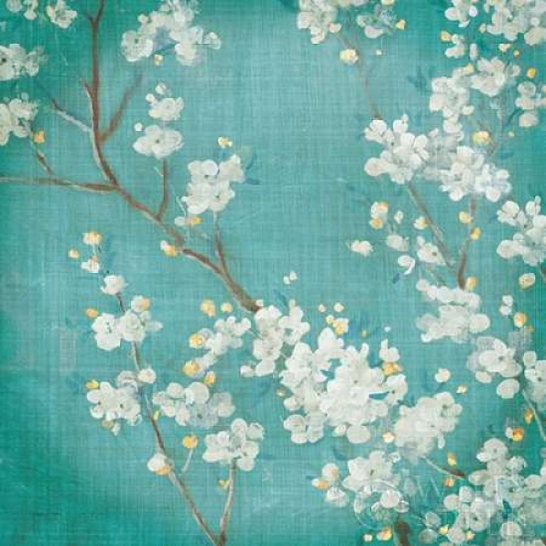 White Cherry Blossoms II Canvas Art - Danhui Nai (24 x 24)