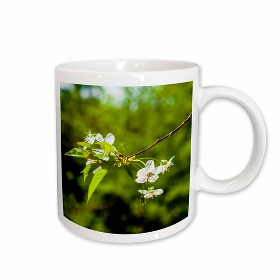 3drose, White Cherry Flowers, Green Leaves and Dark Green Background, 11oz Mug