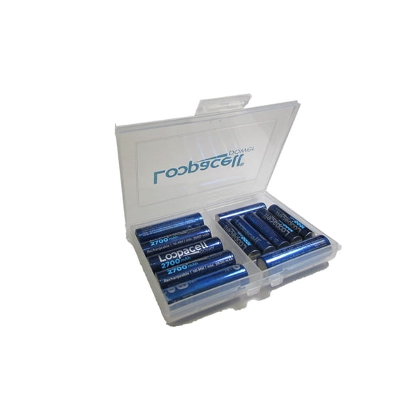 White Clear Plastic Protective Storage Case Holder fits AA And AAA Batteries