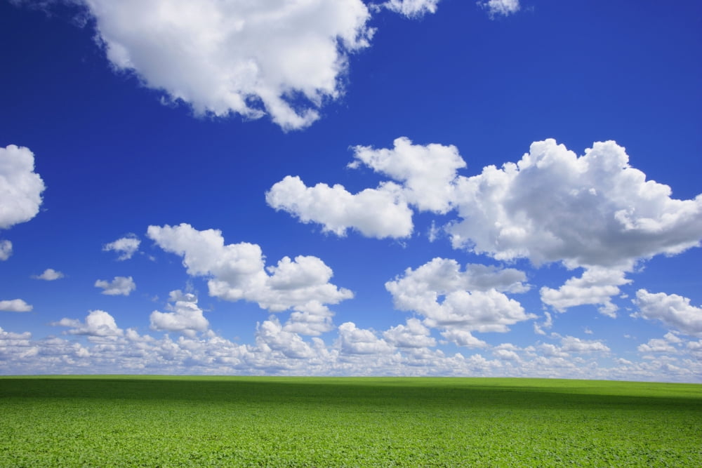 White Clouds In The Sky And Green Meadow Canvas Art - Don Hammond Design Pics (34 x 22)