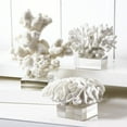 thumbnail image 1 of Two's Company Rory Line Set of 3 Reef White Coral Sculptures, 1 of 2