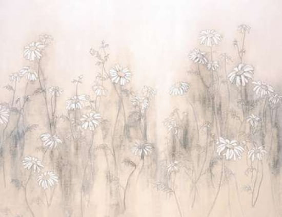 White Daisies Canvas Art - Hans Andkjaer (22 x 28)
